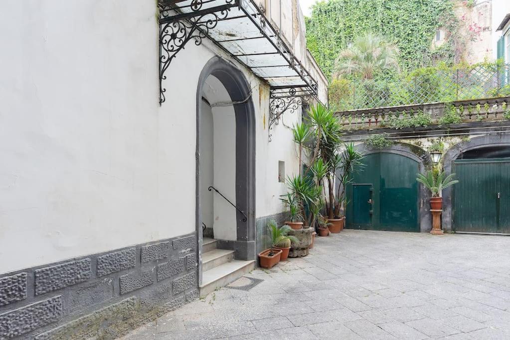 L'orchidea Al Museo In Centro