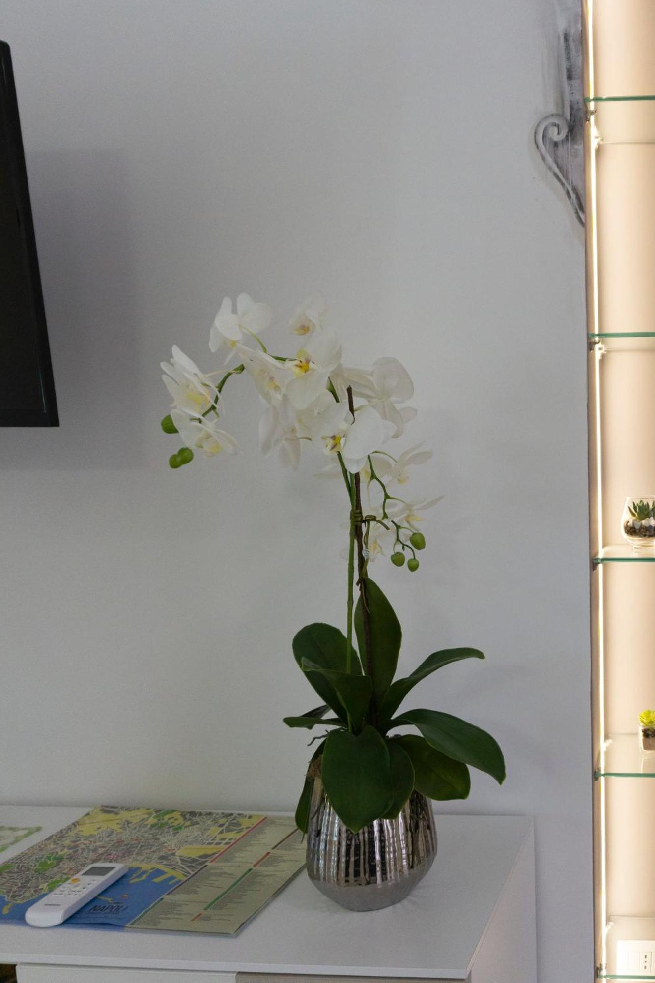 L'orchidea Al Museo In Centro Appartamento Napoli